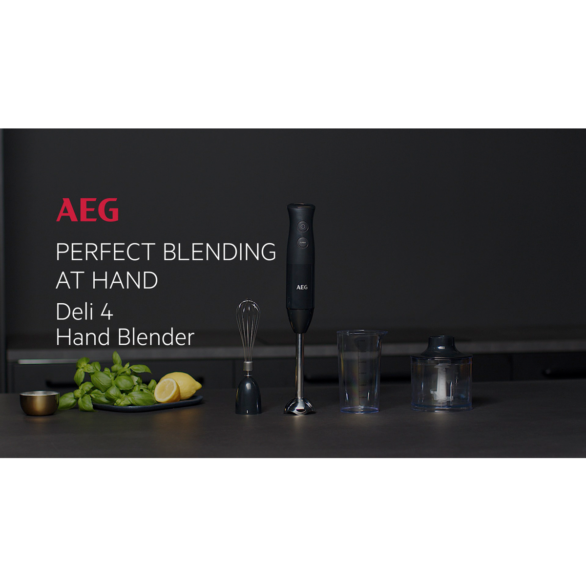 AEG - Ραβδομπλέντερ - HB4-1-6GG