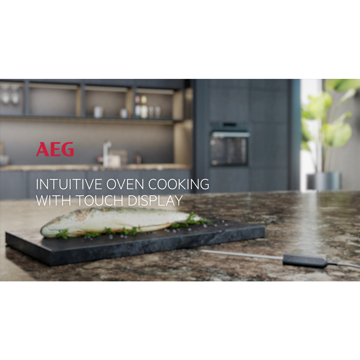 AEG - Pyrolytic oven - BSE778380M