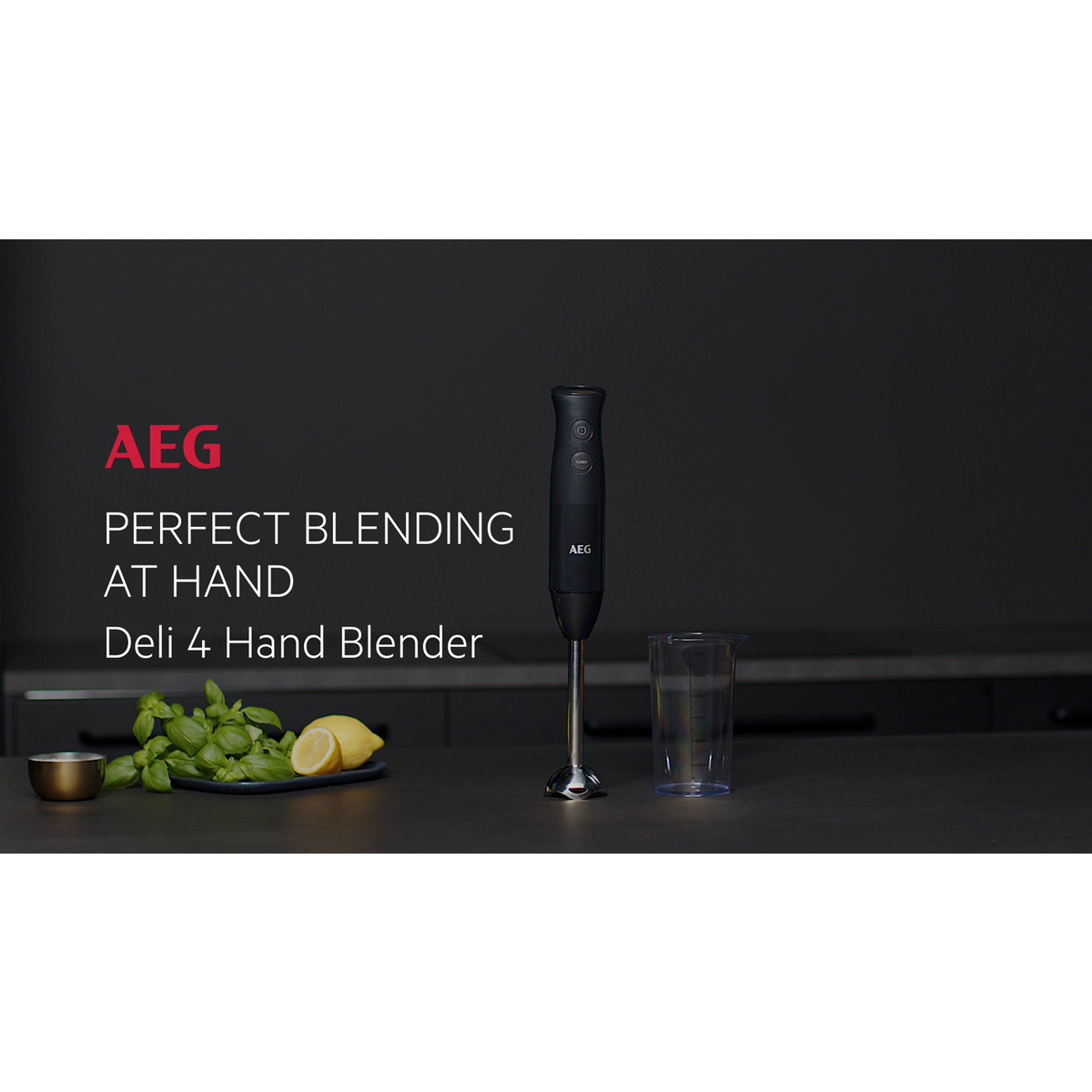 AEG - Ραβδομπλέντερ - HB4-1-4GG