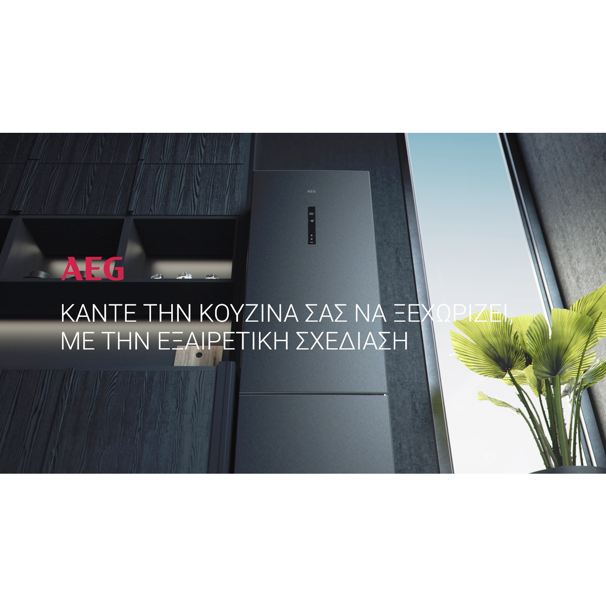 AEG - Ελεύθερος ψυγειοκαταψύκτης - RMB952E6VU