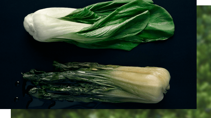 Αναθέρμανση/Αναγέννηση με ατμό