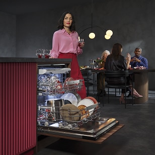 The NEW Favorit dishwasher range